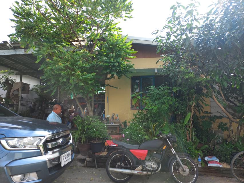 รูป บ้านและที่ดิน 2