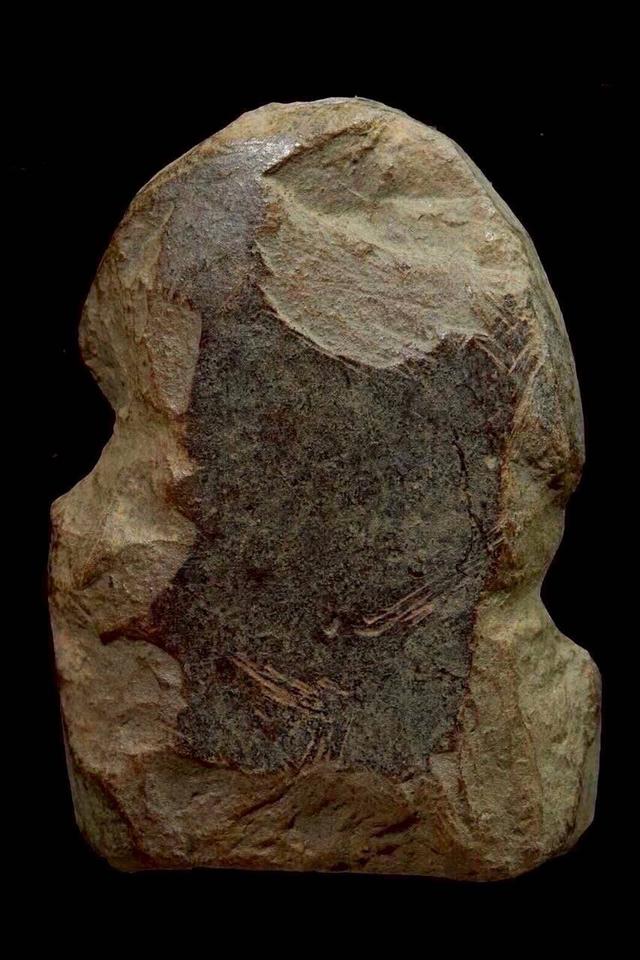 พระซุ้มกอ เปิดเช่าบูชา รูปที่ 3