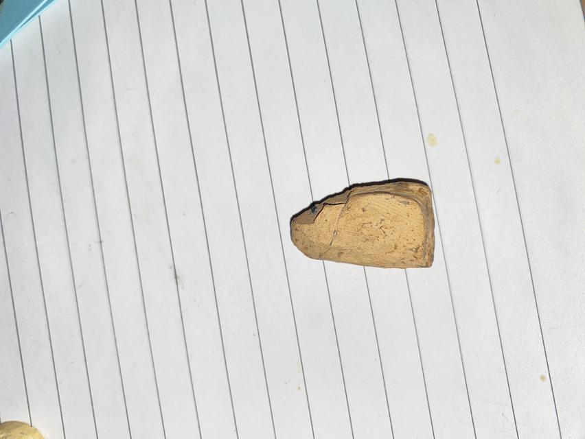 พระคงลำพูนกรุเก่าพันปี รูปย่อยที่ 3