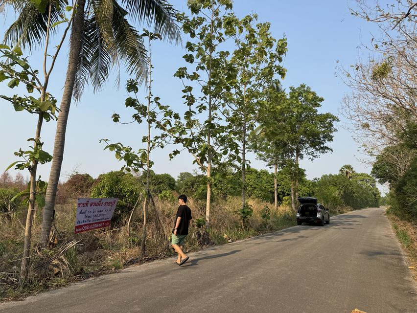 ขายที่ดินสวนผึ้งราชบุรี 34 ไร่ 6