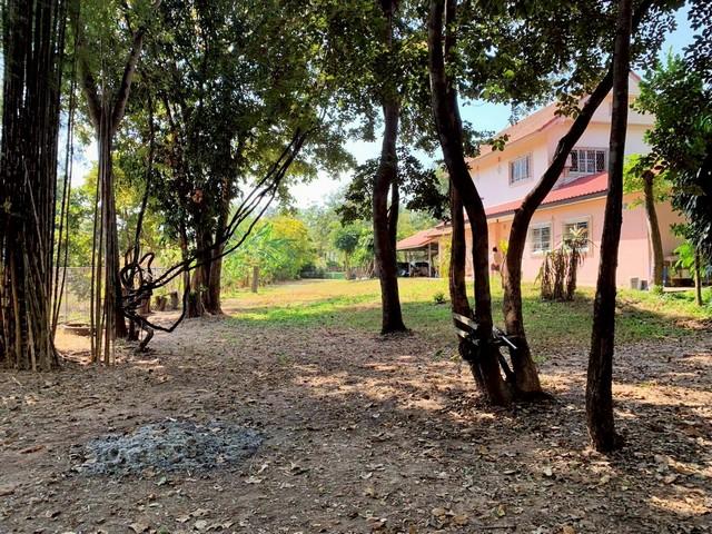 บ้านพร้อมที่ดินขนาดใหญ่ 1 ไร่ 3 งาน 97.9 ตารางวา (รวม 797.9 ตารางวา) ในตำบลจอหอ เมืองนครราชสีมา 3