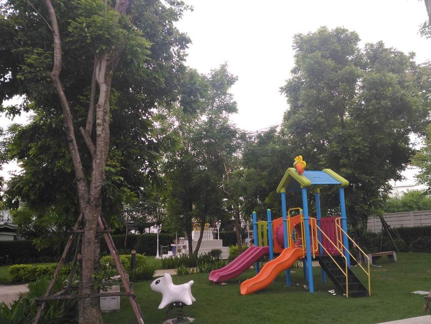 บ้านเช่า ทาวน์เฮ้าส์ 2 ชั้น 3 นอน 2 น้ำ ใกล้รถไฟฟ้า สถานีบ้านทับช้าง พฤกษาทาวน์เน็กซ์ อ่อนนุช-พระราม9 12,000/M 9