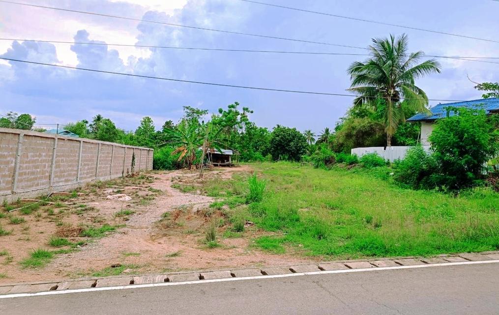 ขายด่วน 📌 ที่ดินเปล่า โฉนดพร้อมโอน