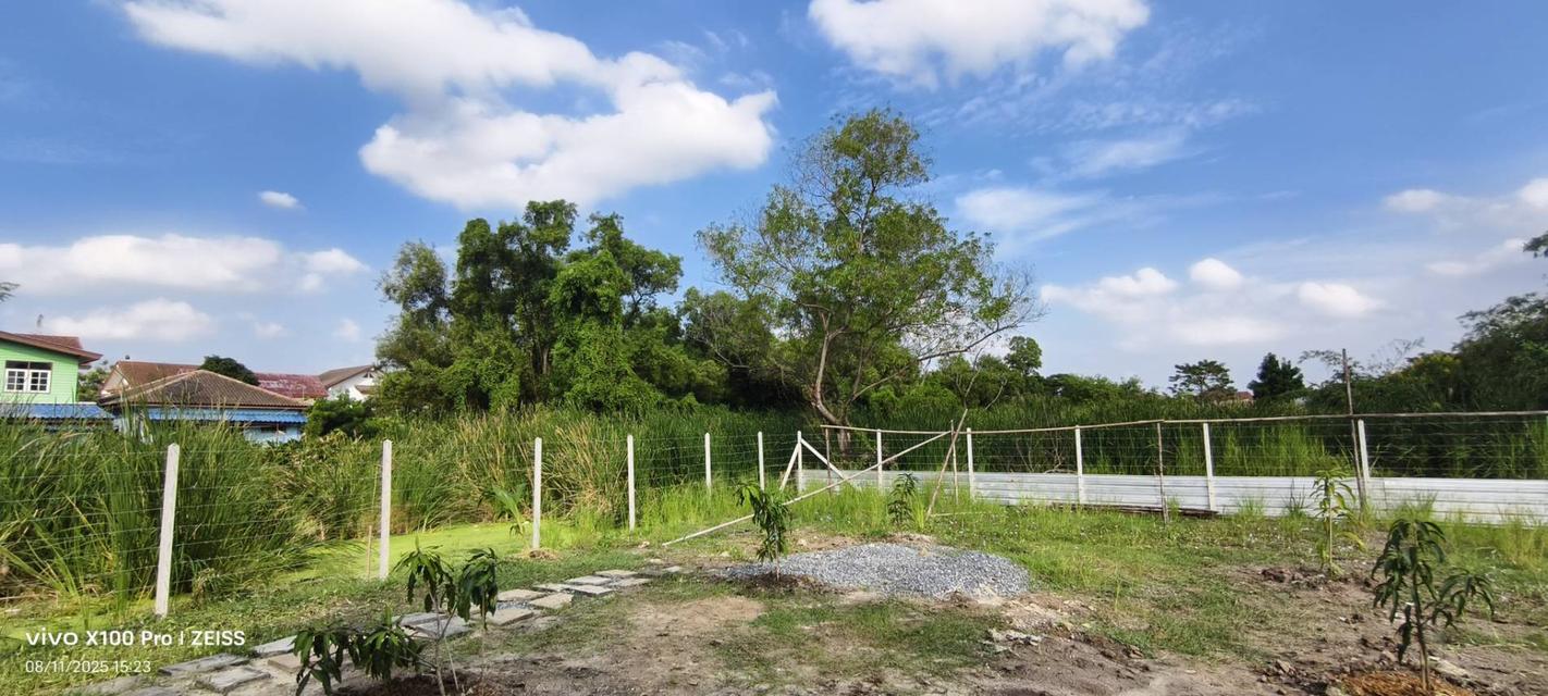 ขายที่ดินเปล่า เหมาะสำหรับสร้างที่พักอาศัย หอพัก ซอยวัดเวฬุวนาราม 13 5