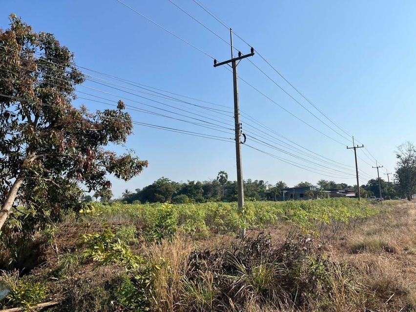 📢 ขายที่ดินทำเลทอง 5 ไร่ ติดถนนดอนแขวน-โคกกรวด (ครบุรี-เสิงสาง)  ​เหมาะสำหรับสร้างปั๊มน้ำมันขนาดใหญ่ (Standard PTT Station) / Community Mall / ศูนย์ก 6