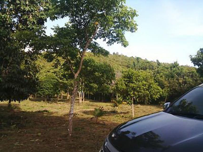 Land on the lower hill for sale with Chanote no sea view 4