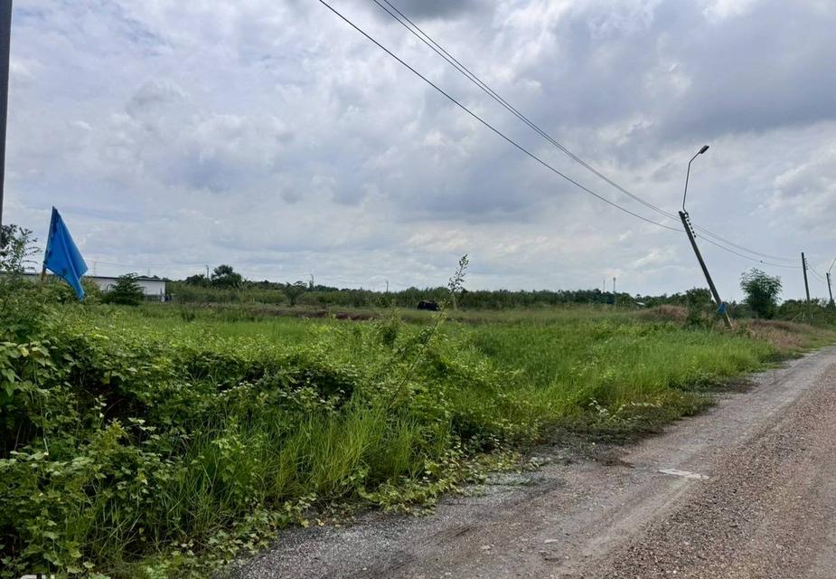 ขายที่ดินสวย ฉลองกรุงการ์เด้น ซอยวัดอู่ตะเภา ตรงข้าม FBT ฉลองกรุง (N.1754)