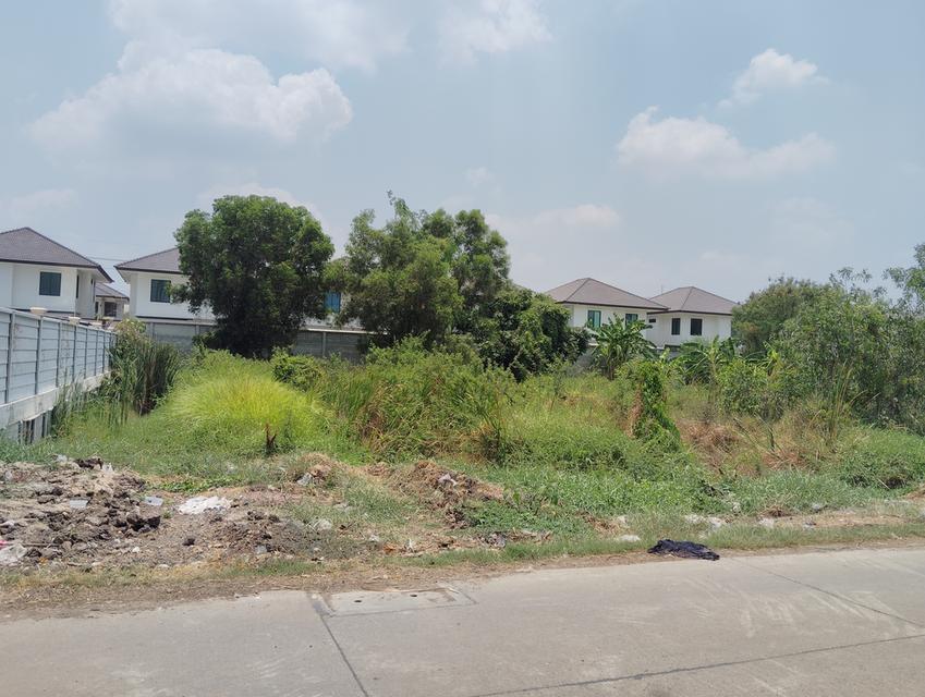 ขายที่ดิน 380 ตรว. ซอยบงกช 47 คลองสอง คลองหลวง หน้ากว้าง 30 เมตร ลึก 50 เมตร อยู่ในซอยบงกช 47 6