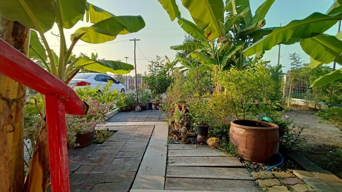 ขายบ้านพร้อมที่ดิน 200 ตารางวา 5