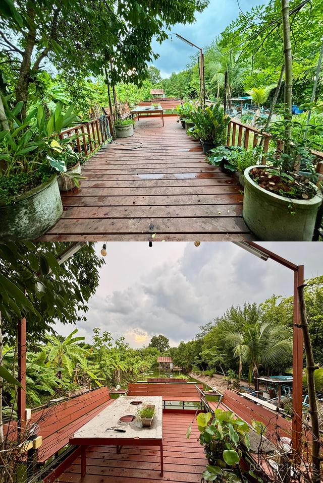 ขายบ้านสวน 5ไร่ ใกล้วัดป่าบ้านตาด 3