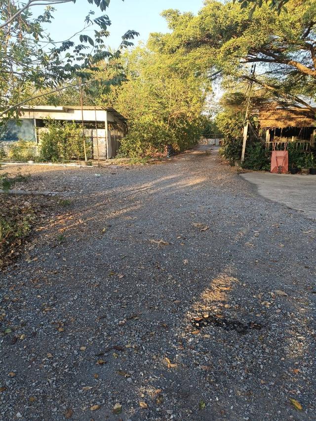 ขายที่ดินทำเลดี 2 ไร่ 3 งาน เจ้าของขายเอง คลอง13 หนองจอก ฝั่งตะวันออก  กทม 7