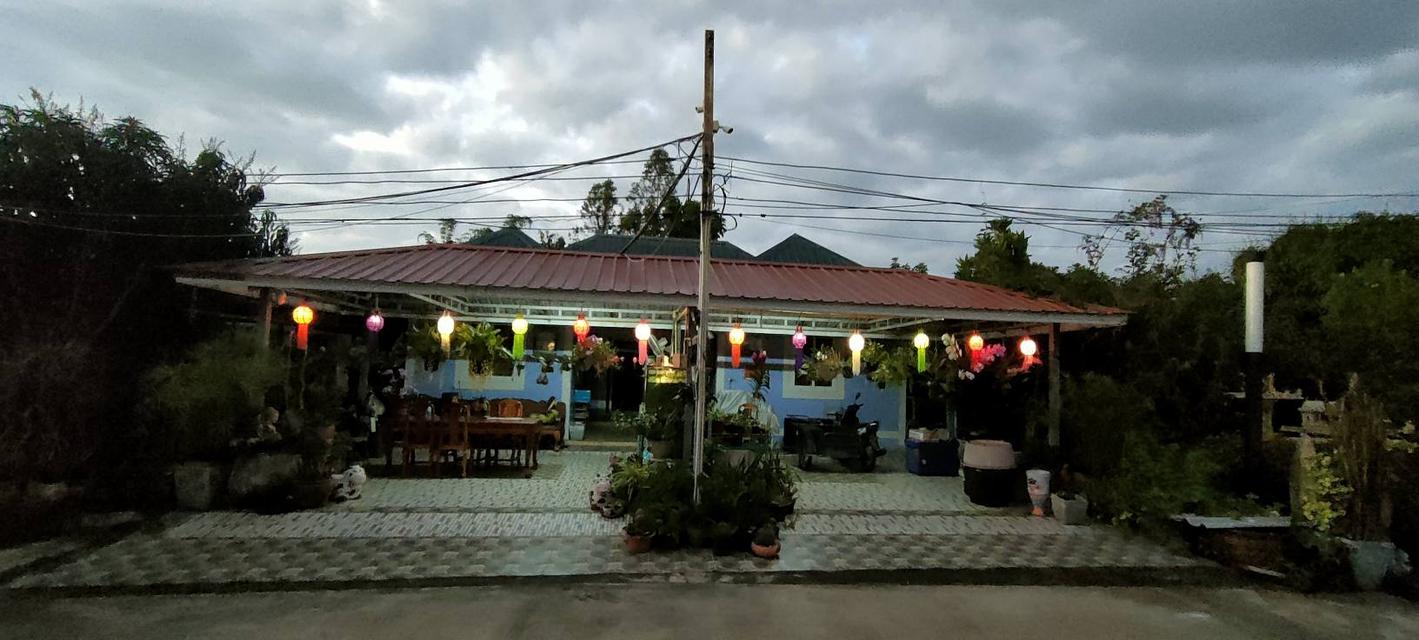 ขายบ้านสวน วิวภูเขา บรรยากาศดี  ชนแดน เพชรบูรณ์ House garden farm at Phetchabun 7