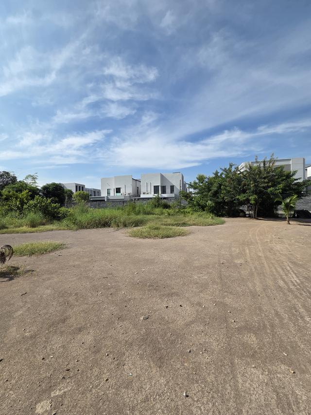 ขายที่ดิน วัดชลอ บางกรวย 5