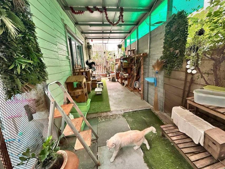 เศรณี ปาร์ค ดอนเมือง | บ้านเดี่ยวหลังมุม ไซซ์ใหญ่ ลดทันที 500,000 บาท 7