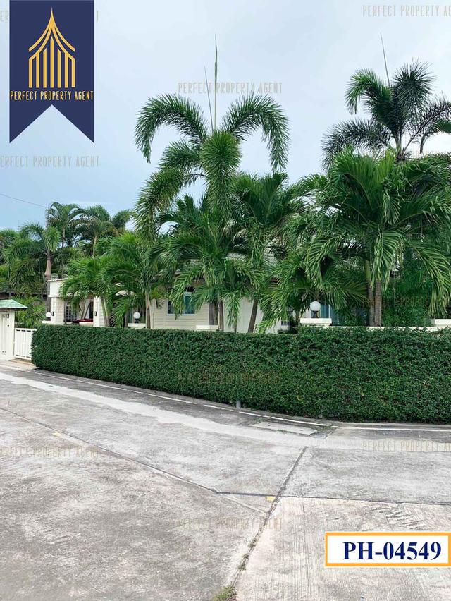 ขายด่วน บ้านเดี่ยวพูลวิลล่า ตะเคียนเตี้ย พัทยา ครัวป้าบุญ พร้อมเฟอร์นิเจอร์ 20