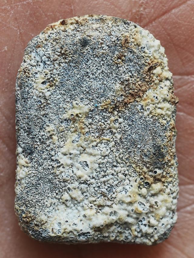 พระปิลันท์ ครอบแก้วเล็ก วัดระฆัง...เก่า เดิมๆ 7