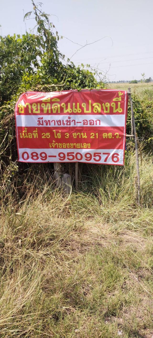ขายที่ดิน 25 ไร่ ชัยนาท แปลงใหญ่ ราคาดี ต่อรองได้ 4