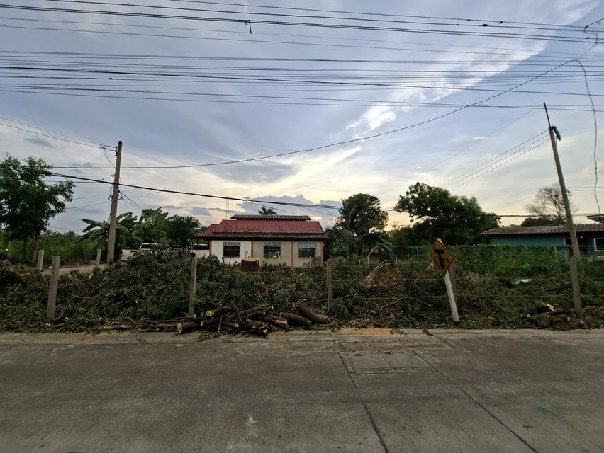 ขายที่ดินเปล่า เนื้อที่ 84 ตรว. 1