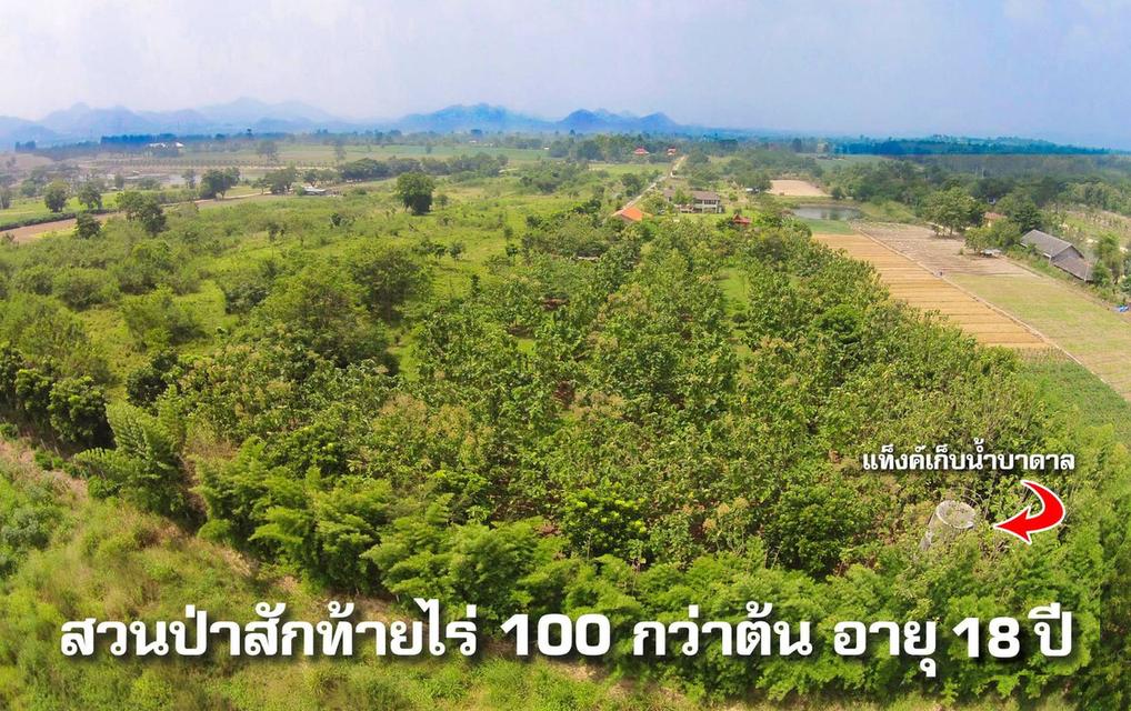 ขายที่ดินปากช่อง ขนงพระ หนองสาหร่าย 16ไร่ พร้อมบ้านพักตากอากาศเขาใหญ่ สวนไม้สักทอง มีบ่อน้ำผุด ใกล้2235 สนามกอล์ฟแรนโชว์ชาญวีร์ ถนนมิตรภาพ0879074045 13