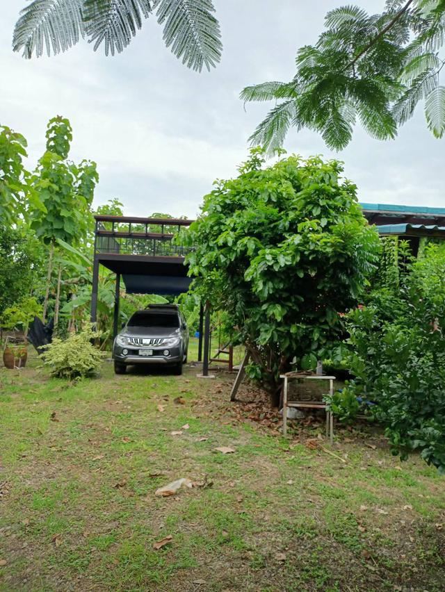 ขายบ้านสวน พร้อมที่ดิน!!!มีโฉนดครุฒแดง เนื้อที่ 1 ไร่ 37 ตารางวา ราคา1,200,000บาท ต่อรองได้ ขายเองไม่รับนายหน้าครับ ตั้งอยู่ทุ่งดินดำรีสอร์ทจังหวัดสุพ 10