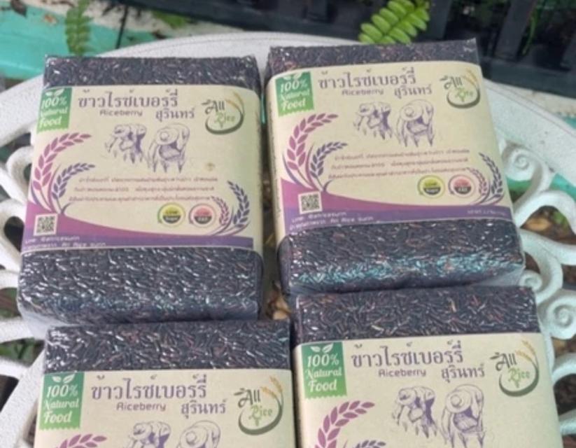 ข้าวไรซ์เบอร์รี่สุรินทร์ เกรดA 