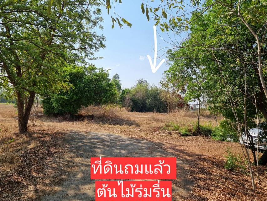 ที่ดินเปล่าถมแล้ว 200 ตารางวา สาธารณูปโภคพร้อม 3