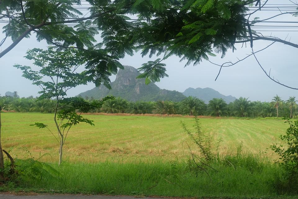 ขายที่ดิน 6 ไร่ 2 งาน ชะอำ เพชรบุรี 3