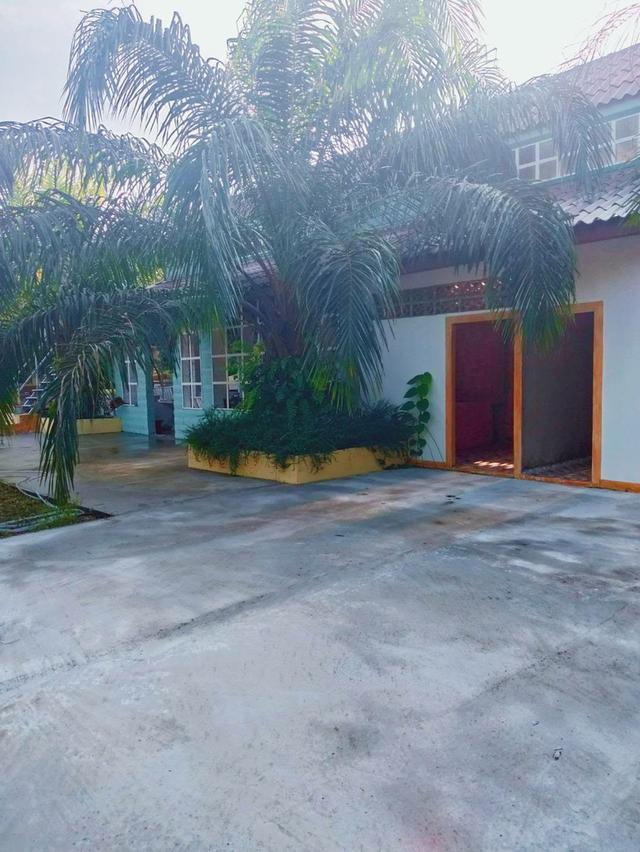 ที่ดิน 20 ไร่ ไร่ละ 3แสน 4