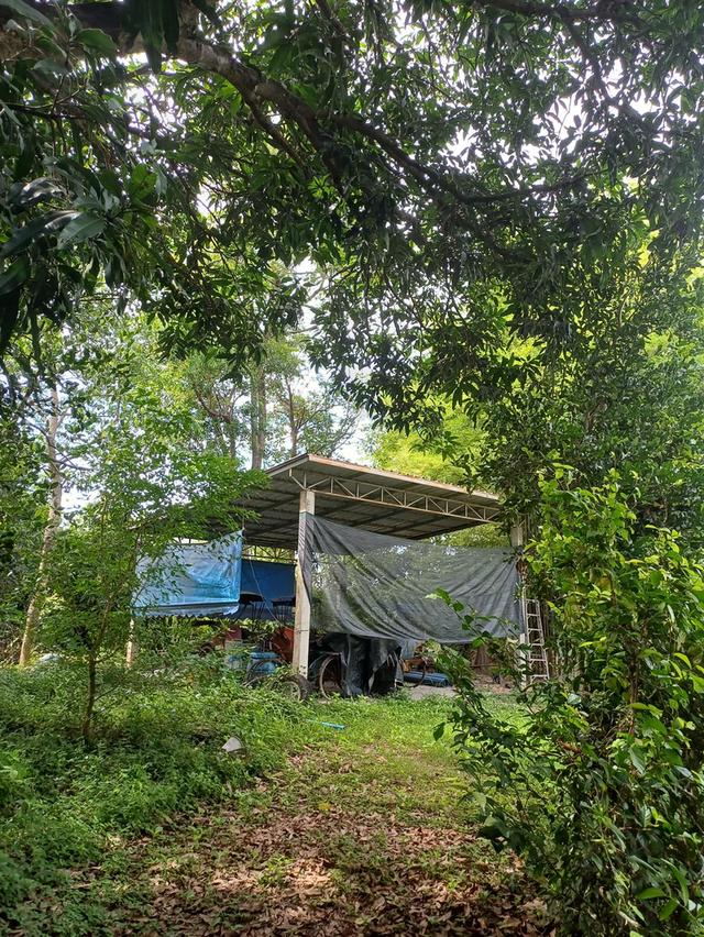 ขายที่ดินสวนเกษตรพร้อม บ้าน 3 หลัง 10