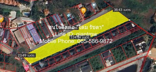 ที่ดิน ที่ดิน บ้านป่าหลาย อ.เมืองภูเก็ต 1847 ตร.วา 69247500 THAI BAHT ราคางาม ภูเก็ต