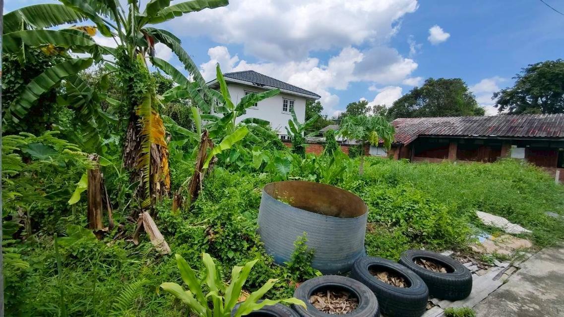 ขายที่ดิน 50+ ตรว 8 แปลง ซอย เรวดี 75 ทะลุรัตนาธิเบวท์ 5นาที ทำเลทอ หมดหมดหมดเลย 3