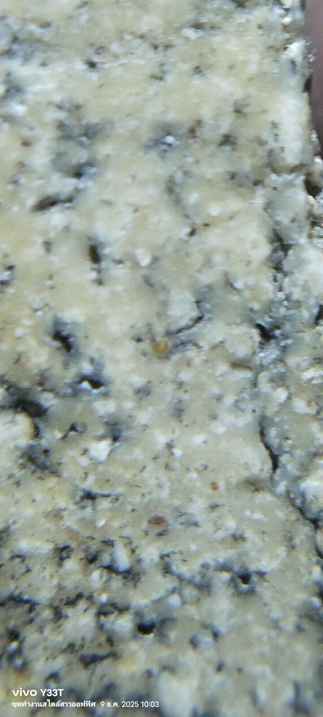 พระสมเด็จวัดระฆังพิมพ์ใหญ่ รูปที่ 14