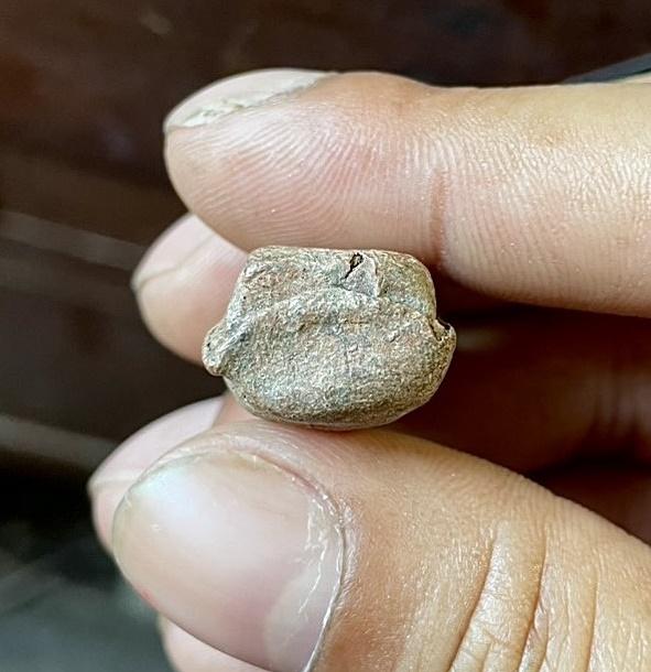 พระคงลำพูน กรุเก่า เนื้อดิน วัดพระคงฤๅษี สีพิกุลค่อนสีเนื้อ 4