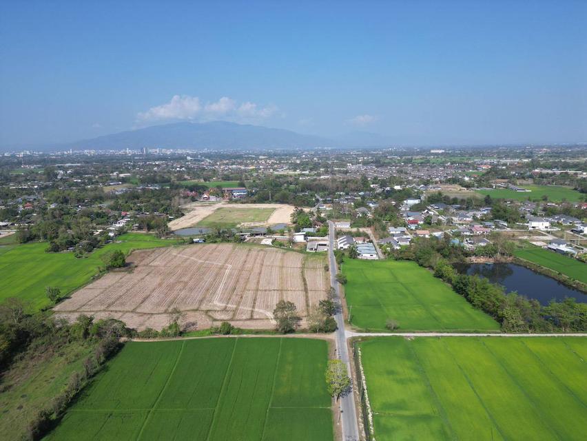 ขายที่ดิน 9,900บาท/ตร.ว. ต.สันปูเลย อ.ดอยสะเก็ด จ.เชียงใหม่ 1