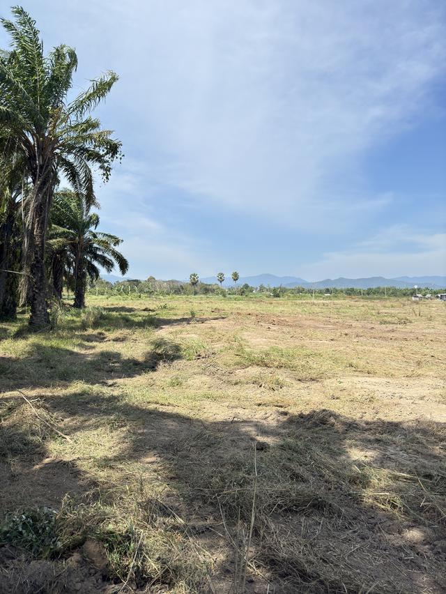 ให้เช่าที่ดินเปล่า ทำโกดังเก็บสินค้า 4