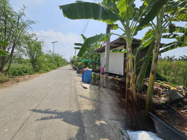 ขายที่ดิน  ติดถนนคอนกรีต อำเภอบางเสาธง  สมุทรปราการ เข้า ออก ได้หลายเส้นทาง 2