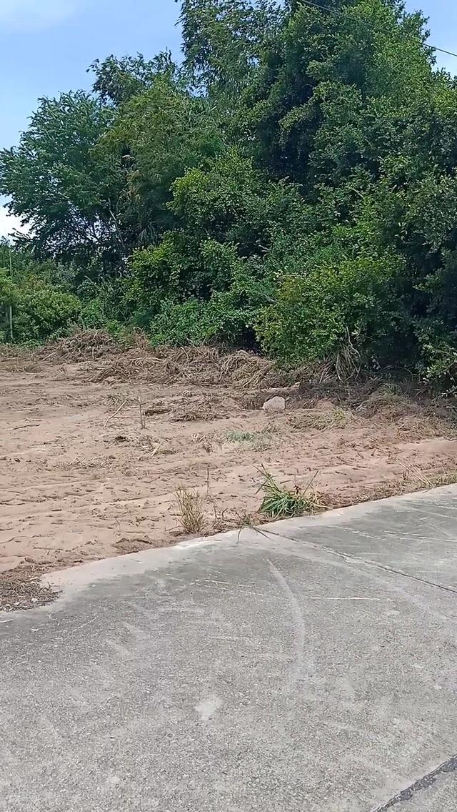 ที่ดินเเปลงสวยเขามะกอก13 พัทยา 4