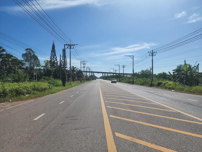 ขายที่ดินติดแม่น้ำตาปีในเมืองสุราษฎร์ธานี 11