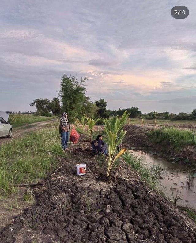 ที่ดินคลอง15นครนายกติดถนนสาธารณะเจ้าของขายเอง 2