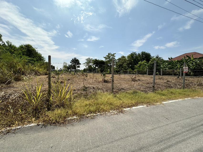 ขายที่ดิน 1 ไร่ 3 งาน ถมแล้ว ที่สวย บรรยากาศดี ร่มรื่น เงียบสงบ  ปลอดภัย ใกล้แหล่งท่องเที่ยว 2