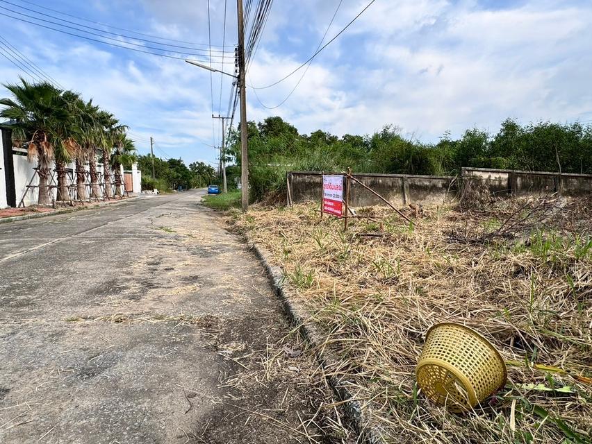 ขายที่ดินเมืองเอก รังสิต (โครงการ3) 136 ตร.ว. ถมแล้ว เมืองปทุมธานี .ใกล้มหาวิทยาลัยรังสิต 1483 3