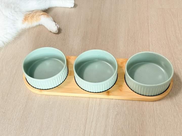 ขายชามอาหารแมวทุกรูปแบบ