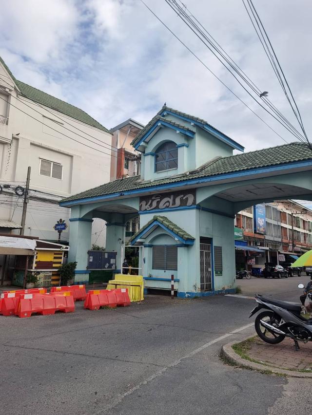 ที่ดินคลอง11 รังสิตนครนายก หมู่บ้านนริศรา 70ตรว. 3