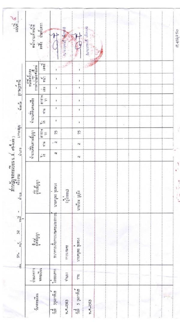 ขายที่ดิน พื้นที่ 2-2-75 ไร่ ต.ตลิ่งงาม อ.เกาะสมุย จ.สุราษฎร์ธานี (เจ้าของขายเอง) ทำเลดี บรรยากาศดี โทร. 084-732-2086 9