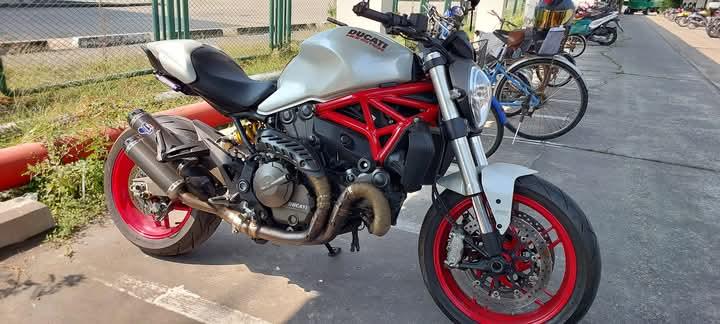 Ducati Monster 821 มือสอง 5