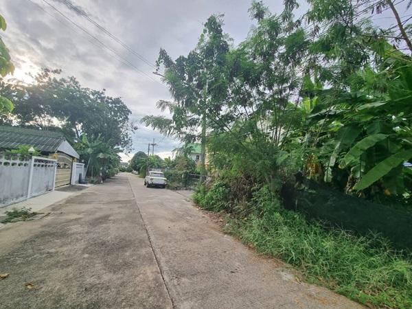 ขายที่ดินเปล่า 70ตรว. คลอง11 หมู่บ้านนริศรา ซ.4 ถูกกว่าราคาประเมิน เจ้าของขายเอง โทร 0969654945 5