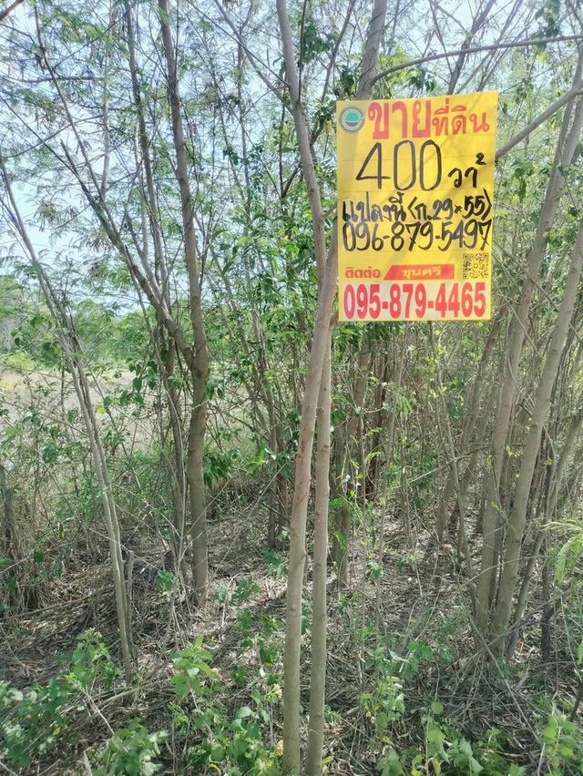 ขายถูกที่ดิน 1 ไร่ ติดถนนสาธารณะ2ด้าน คลอง 12 หนองเสือ ปทุมธานี 4
