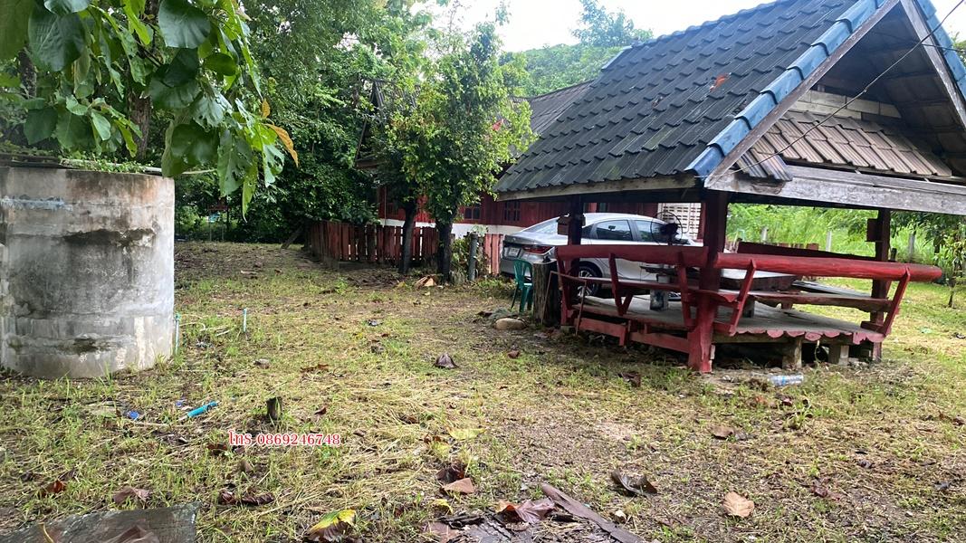 บ้านพร้อมที่ดิน200ตารางวา 16