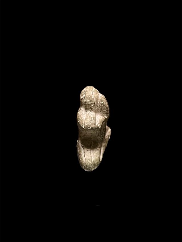 พระเนื้อผง พระปิดตาวัดนางชีปี37 หลวงปู่โต๊ะร่วมปลุกเสก