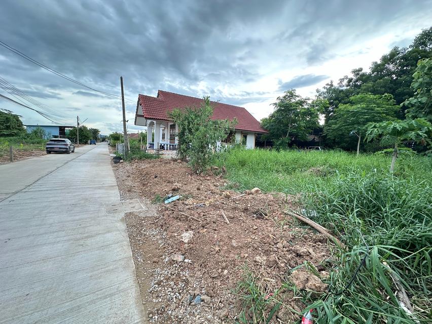 ที่ดิน 4